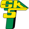 GKS Gornik Leczna