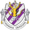 Jeonnam Dragons FC