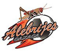 CF Alebrijes de Oaxaca