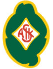 Skövde AIK