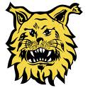 Tampereen Ilves
