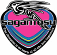 Sagan Tosu