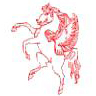 Welling United FC