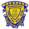 Basingstoke Town FC