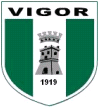 Vigor Lamezia Calcio 1919