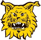 Ilves Women