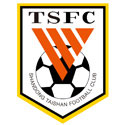Shandong Taishan B