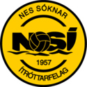 NSI Runavik