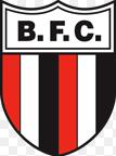 Botafogo SP