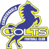Cumbernauld Colts FC