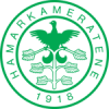 Hamarkameratene Fotball