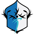 Hang Sai SC