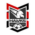 Holland Park Hawks