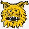 Ilves/2