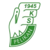KS Pelikan Lowicz