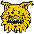 Tampereen Ilves II