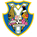 Yongin FC